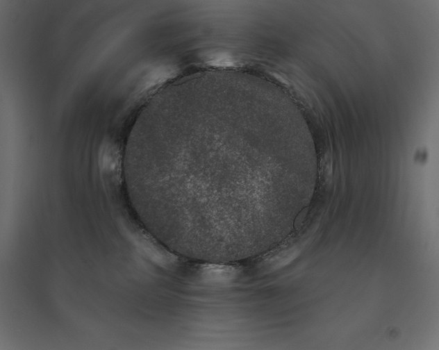 X0000094440234200711211503