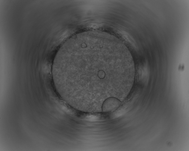 X0000094440236200711211503