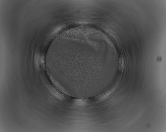 X0000094440238200711211503