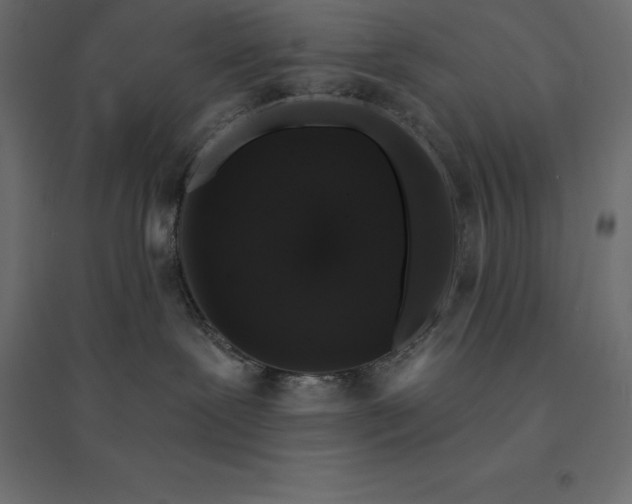 X0000094440239200711211503