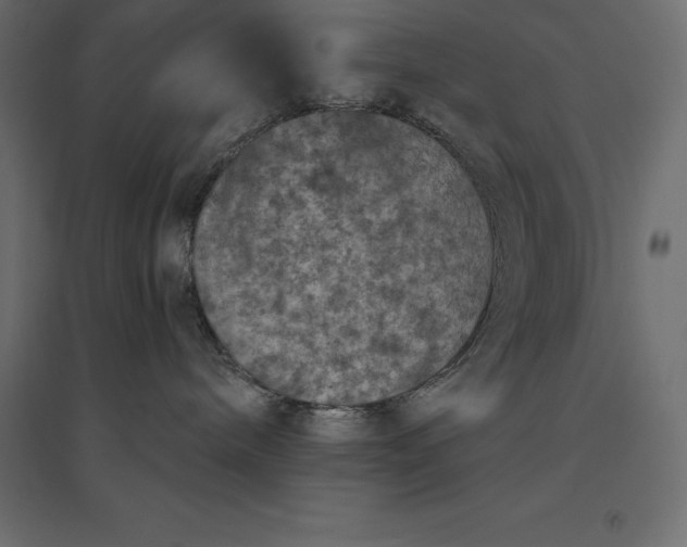 X0000094440240200711211503