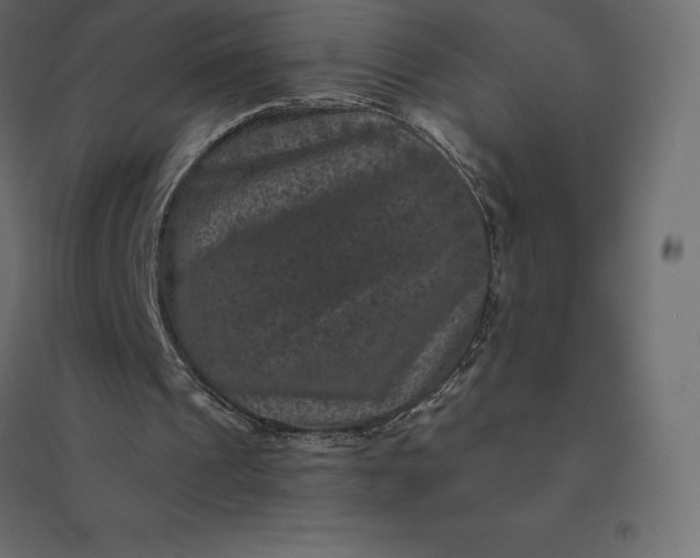 X0000094440241200711211502