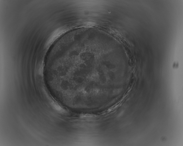 X0000094440242200711211502