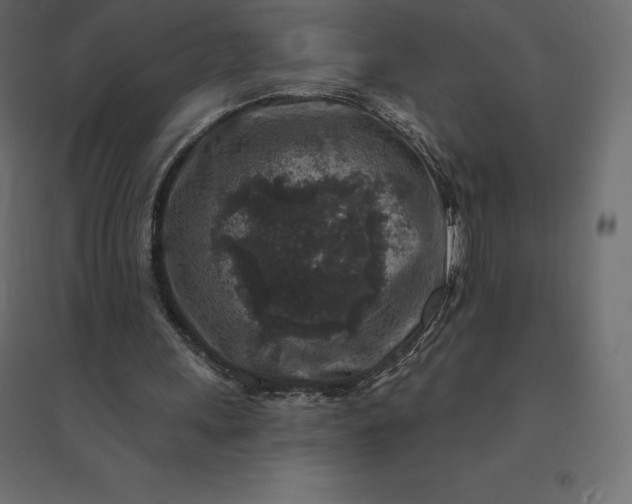 X0000094440243200711211502