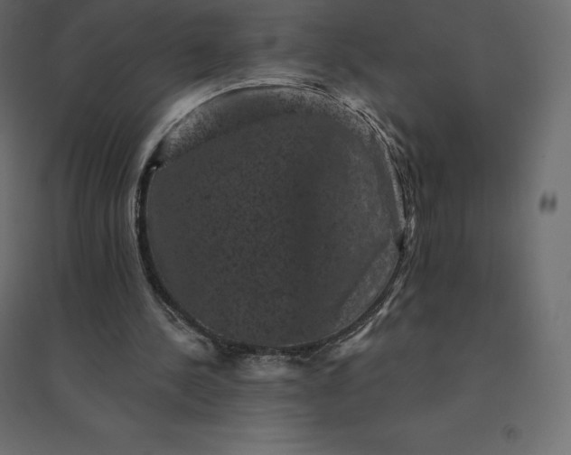 X0000094440244200711211502