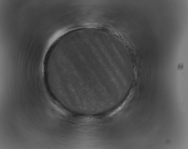 X0000094440246200711211502