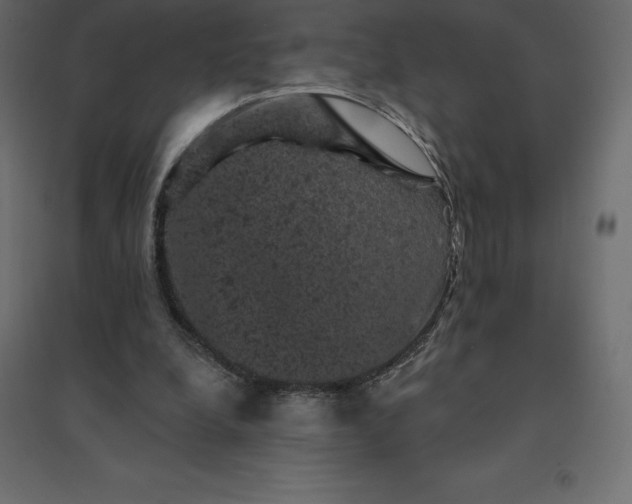 X0000094440248200711211502