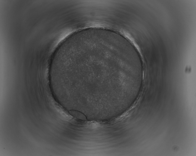 X0000094440249200711211502