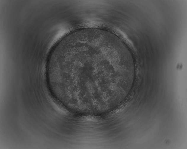 X0000094440250200711211502