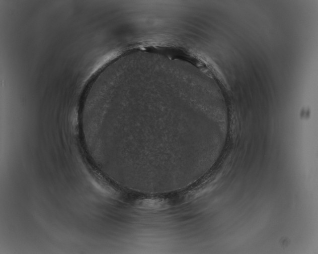 X0000094440251200711211502