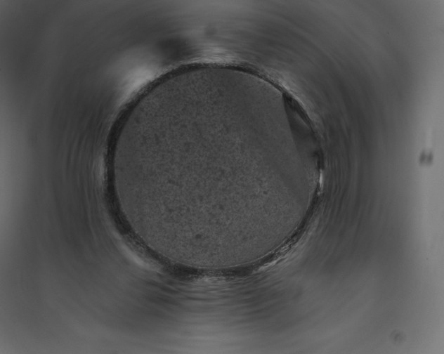 X0000094440252200711211502