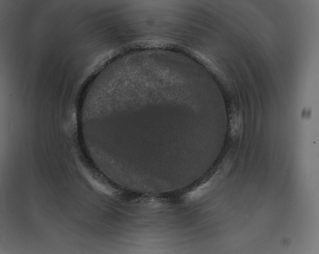 X0000094440254200711211502