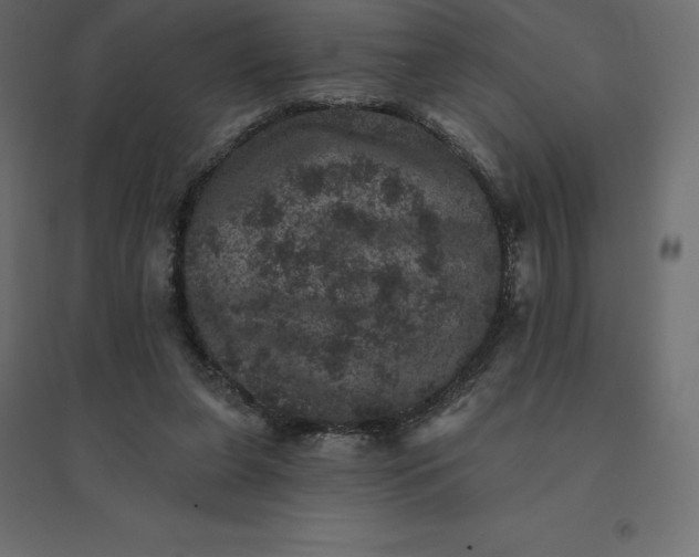 X0000094440255200711211502