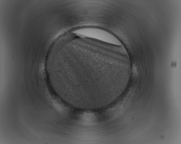 X0000094440256200711211502