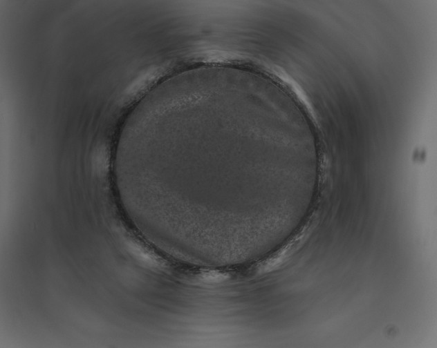 X0000094440257200711211502