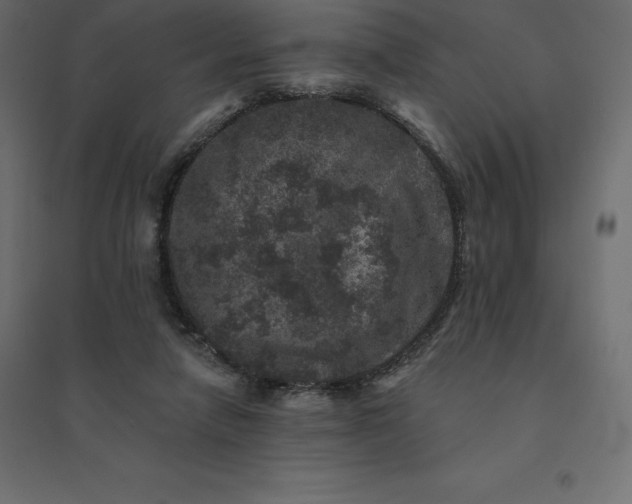 X0000094440258200711211502