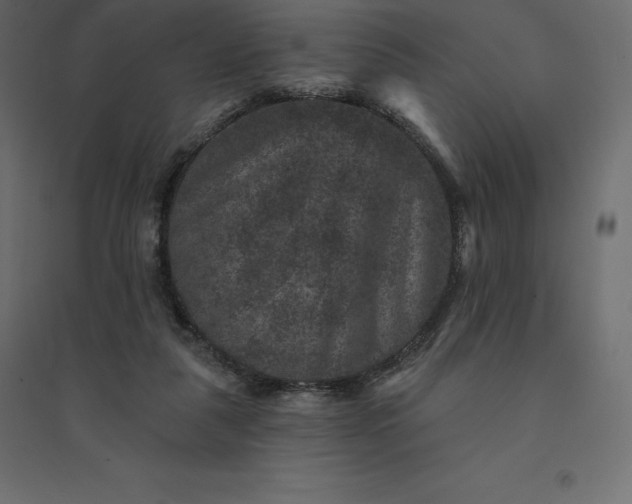 X0000094440259200711211502