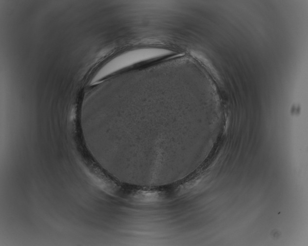 X0000094440260200711211502