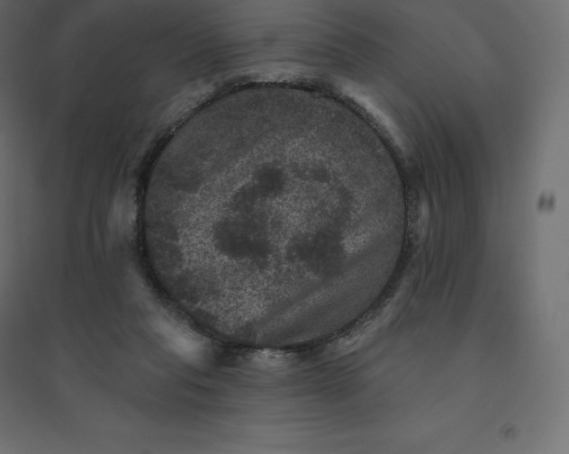 X0000094440261200711211502