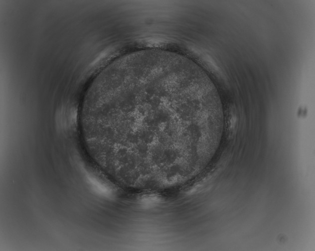 X0000094440262200711211502