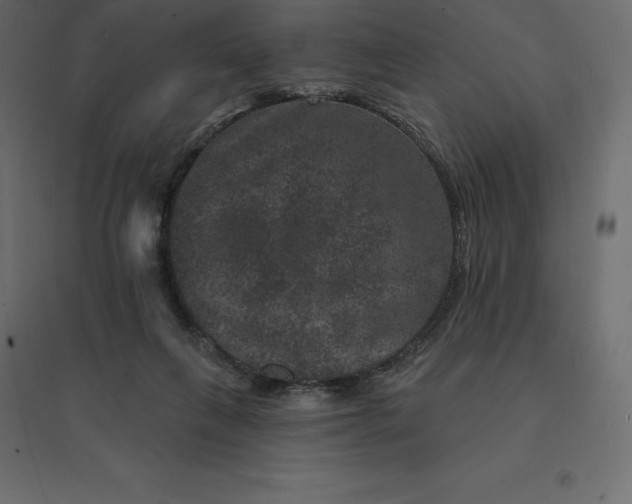 X0000094440263200711211502