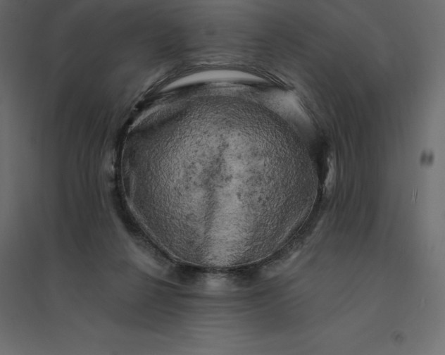 X0000094440264200711211502