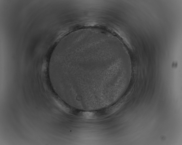 X0000094440265200711211502