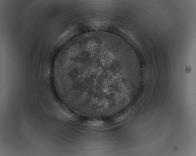 X0000094440266200711211502