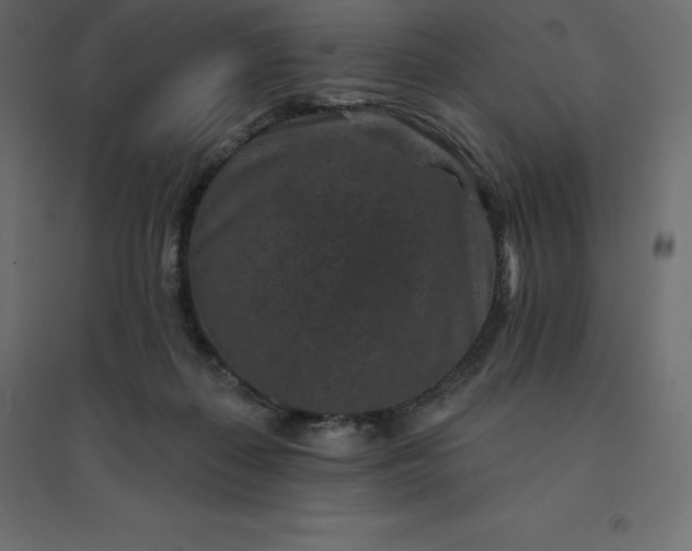 X0000094440267200711211502