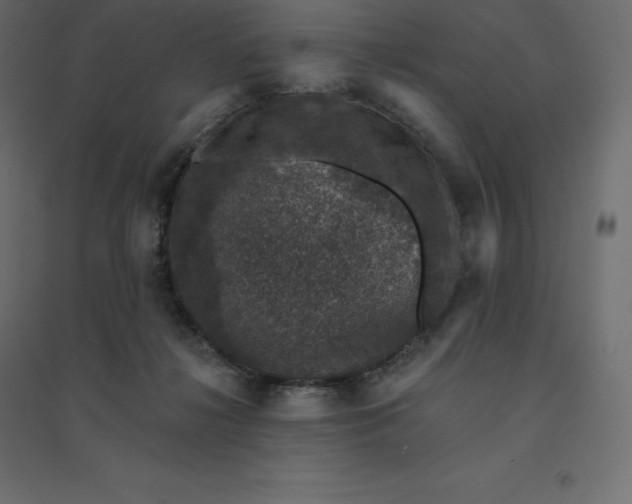 X0000094440268200711211502