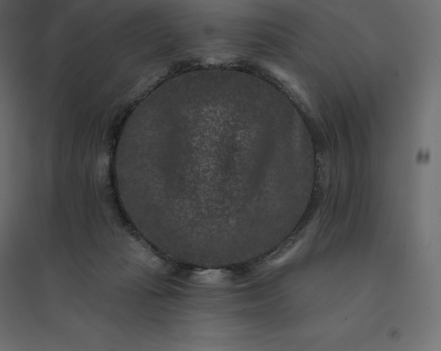 X0000094440269200711211502