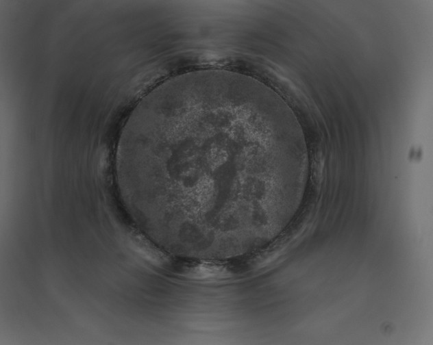 X0000094440270200711211503