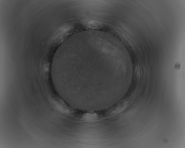 X0000094440271200711211503