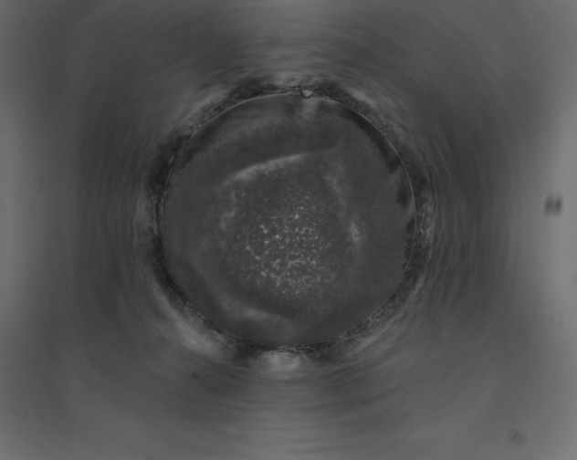 X0000094440272200711211503