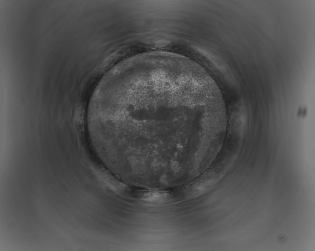 X0000094440274200711211503