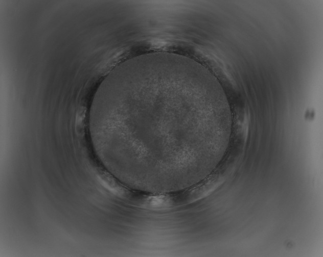 X0000094440275200711211503