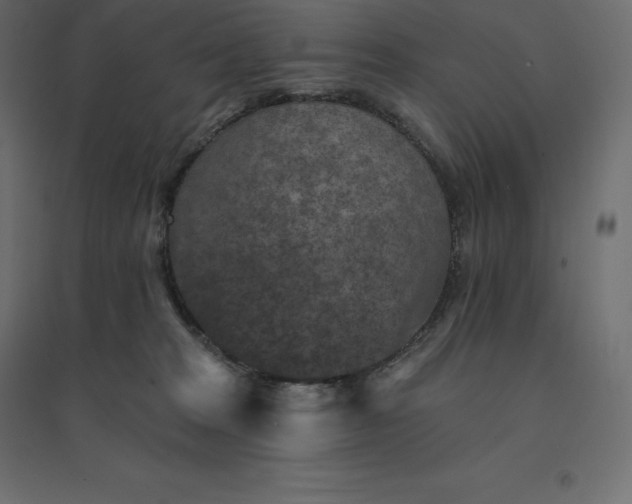 X0000094440277200711211503