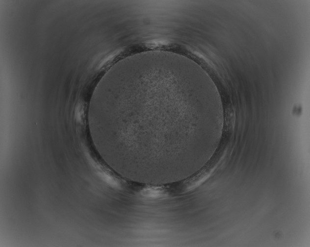 X0000094440280200711211503