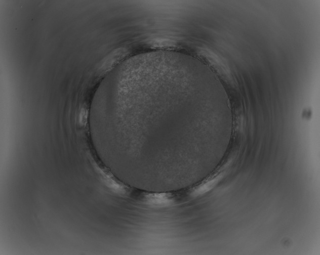 X0000094440281200711211503