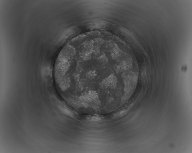 X0000094440282200711211503