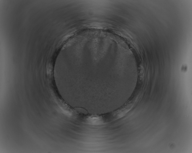 X0000094440283200711211503