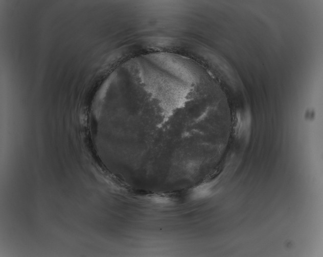 X0000094440284200711211503