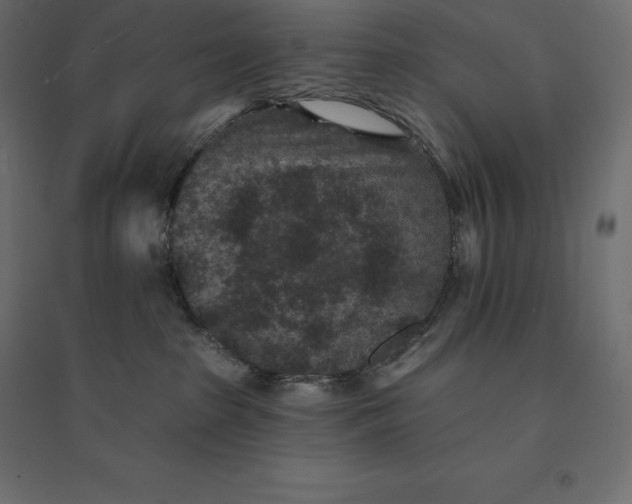 X0000094440285200711211503