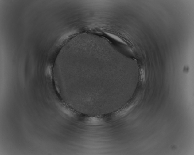 X0000094440286200711211503