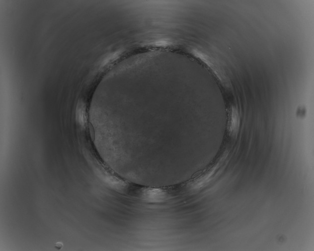 X0000094440287200711211503