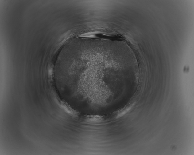 X0000094440288200711211503