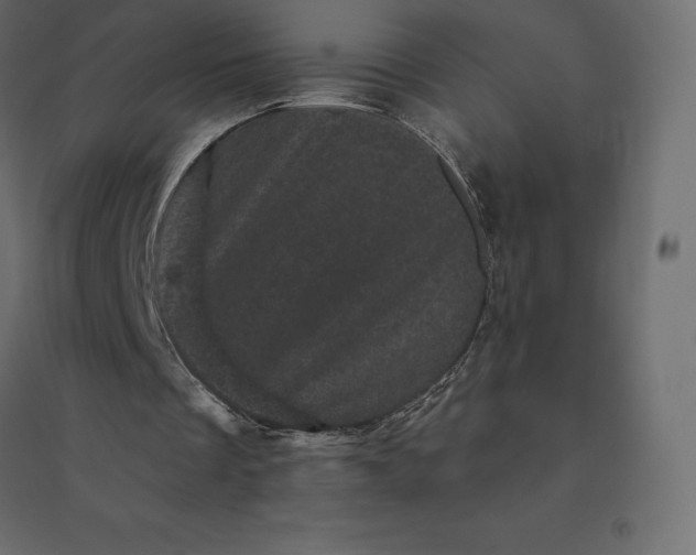 X0000094440289200711211502