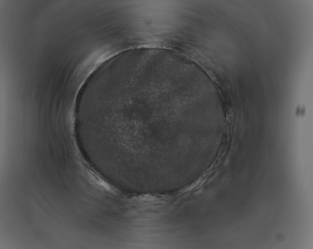 X0000094440290200711211502