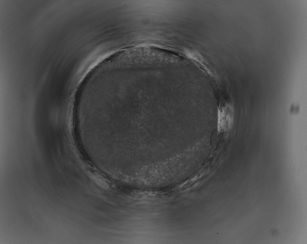 X0000094440291200711211502