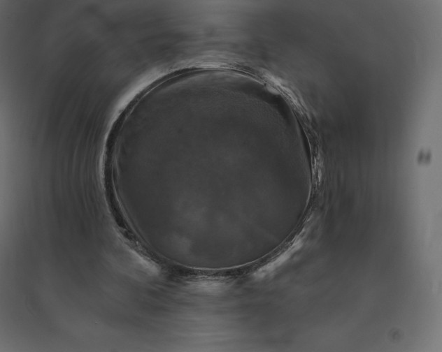 X0000094440292200711211502